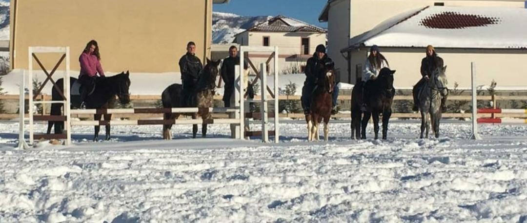 Отель House Of Horses Shtepia E Kuajve Корча Экстерьер фото