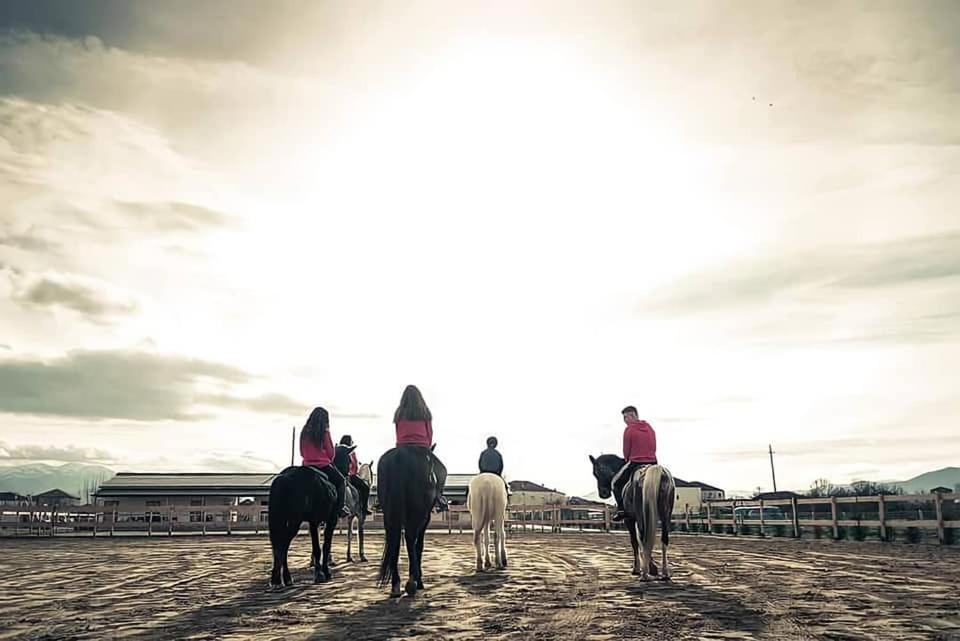 Отель House Of Horses Shtepia E Kuajve Корча Экстерьер фото